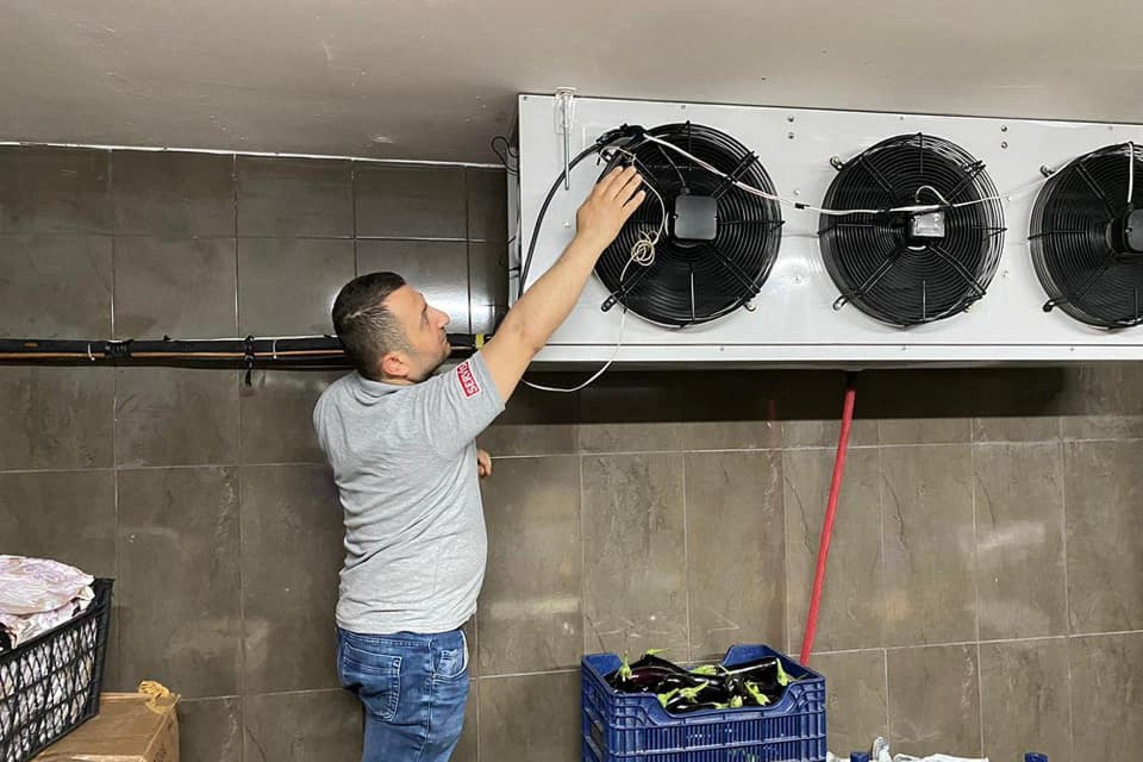 soğuk oda deposu servisi